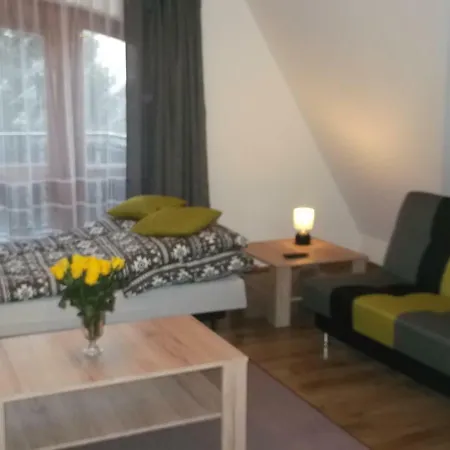 Apartment Lejowka