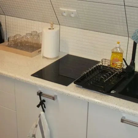 Lejowka Apartment *